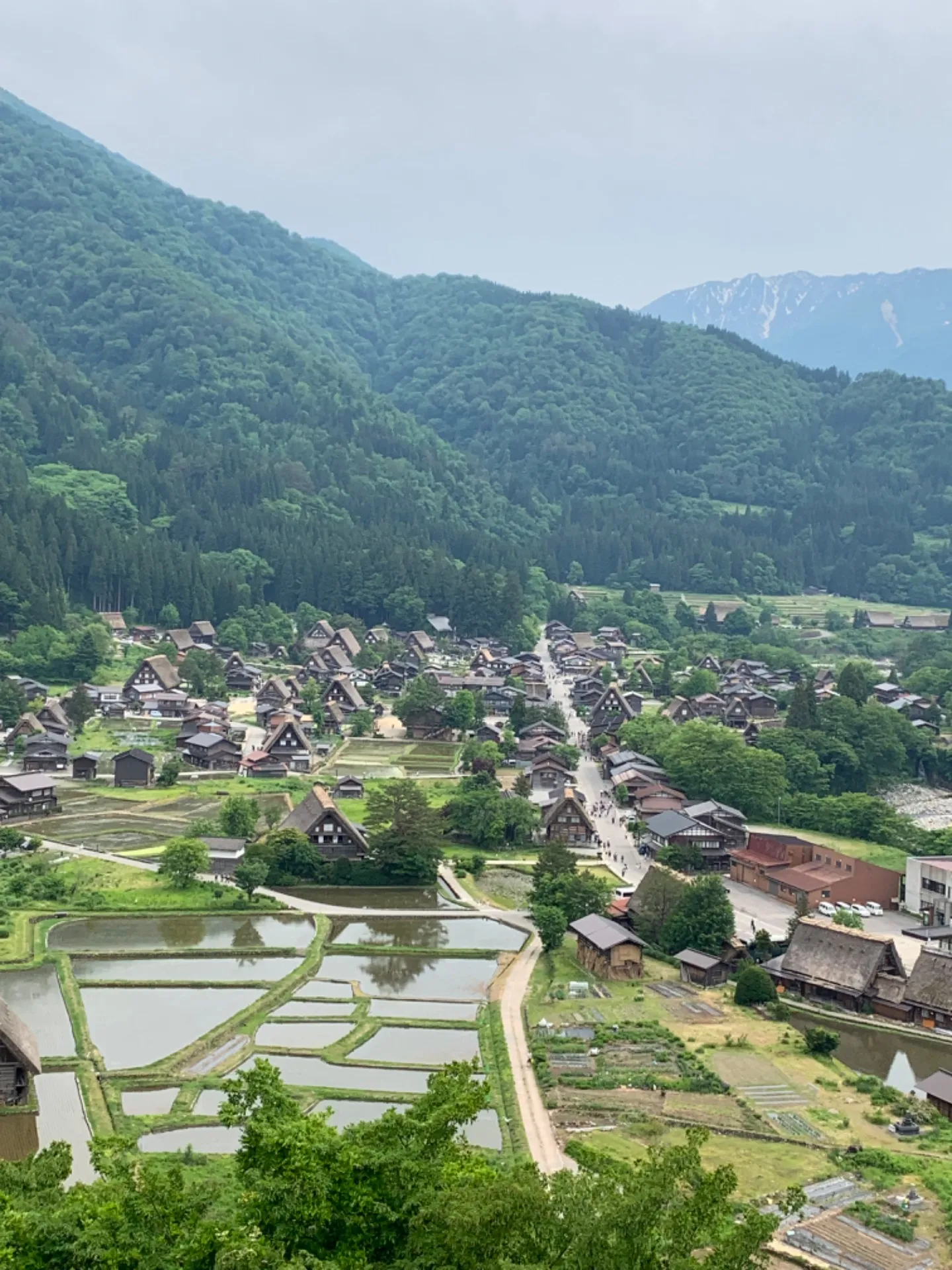 【埼玉】から【岐阜白川郷】へ観光で運転代行をご利用いただきました